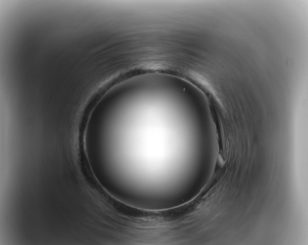 X0000088710535200706071602