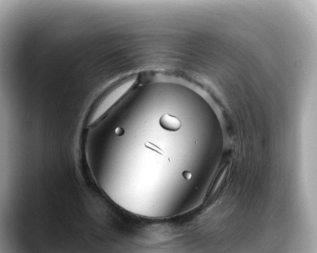 X0000088710536200706071602