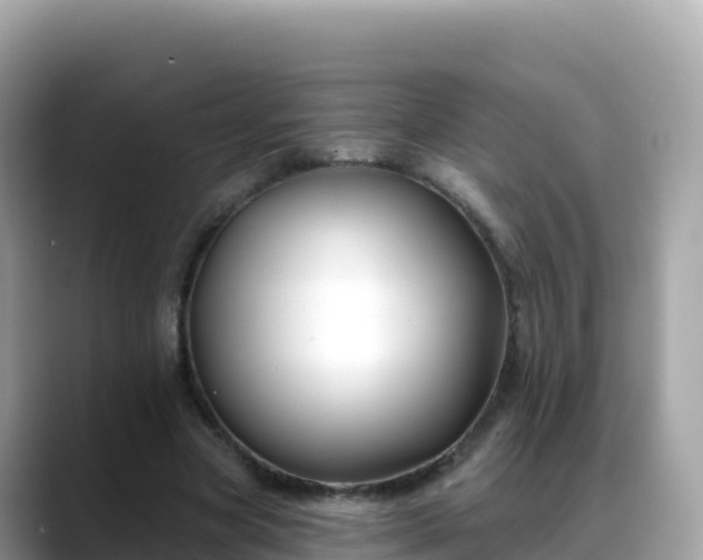 X0000088710537200706071602