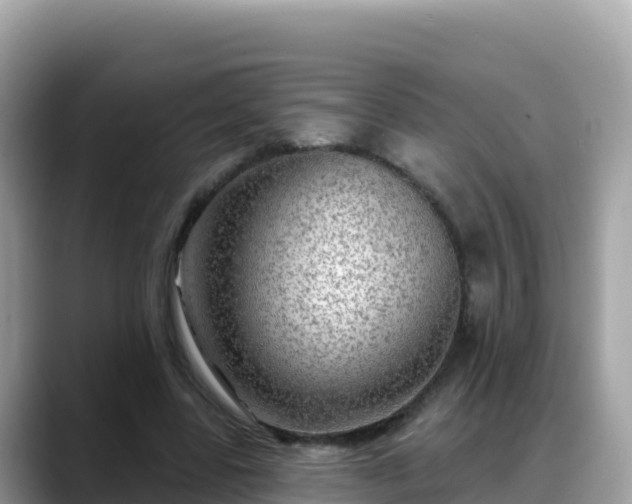 X0000088710539200706071602