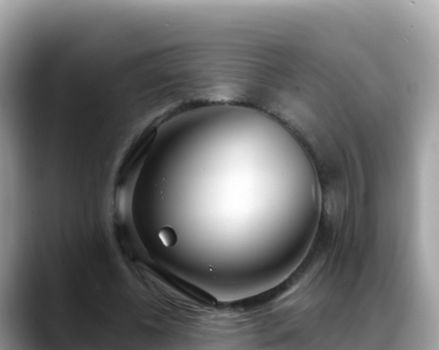 X0000088710540200706071602