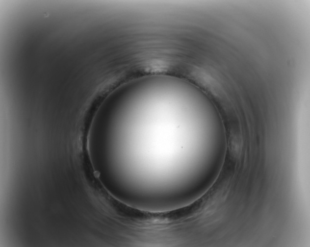 X0000088710543200706071602