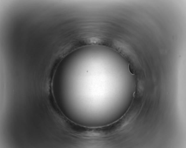 X0000088710545200706071602