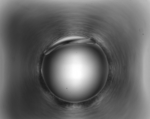 X0000088710546200706071602