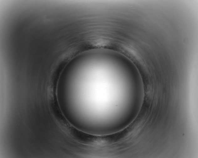 X0000088710547200706071602