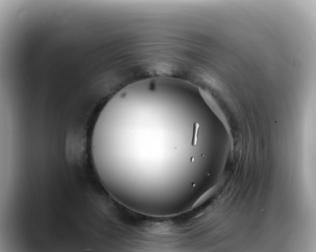 X0000088710548200706071602