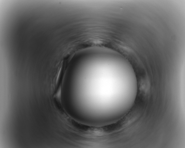 X0000088710559200706071602