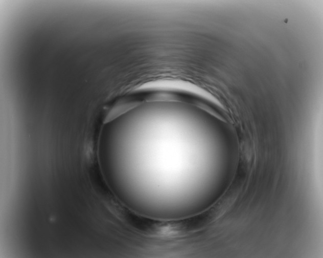 X0000088710564200706071602