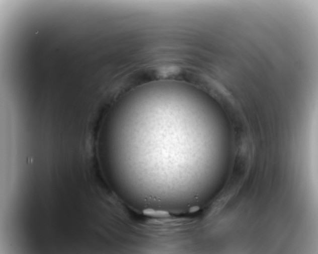 X0000088710565200706071602