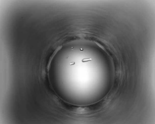 X0000088710566200706071602