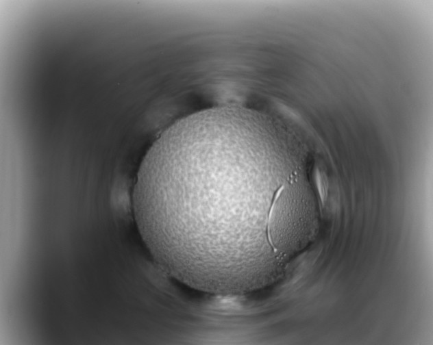 X0000088710573200706071602