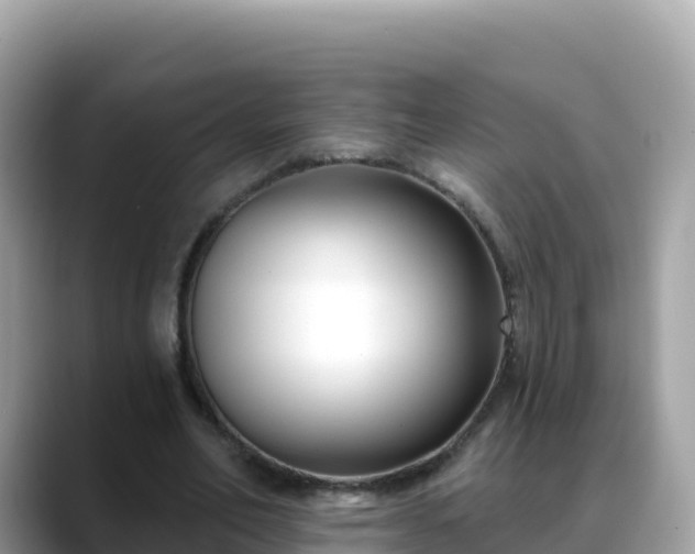 X0000088710582200706071601