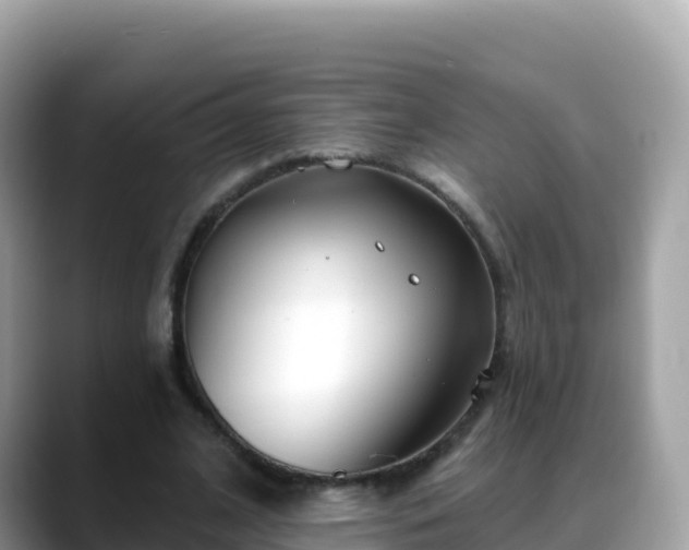 X0000088710584200706071601