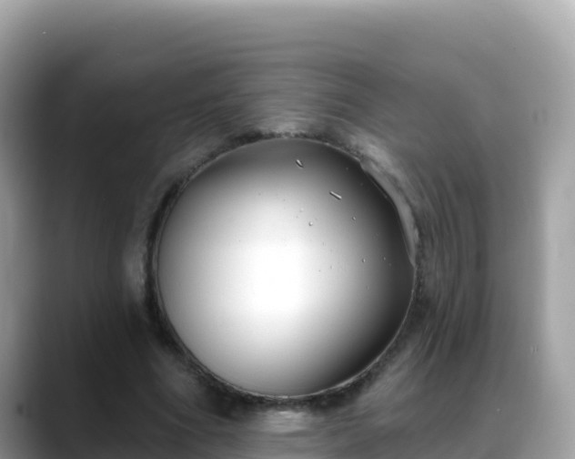 X0000088710586200706071601