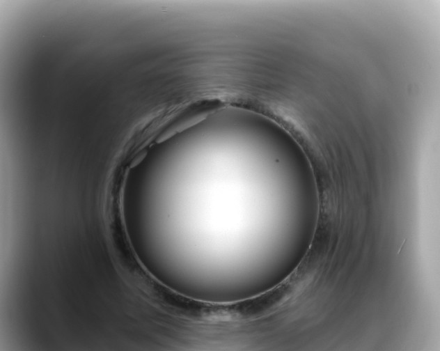 X0000088710587200706071601