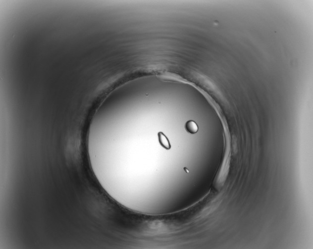 X0000088710588200706071601