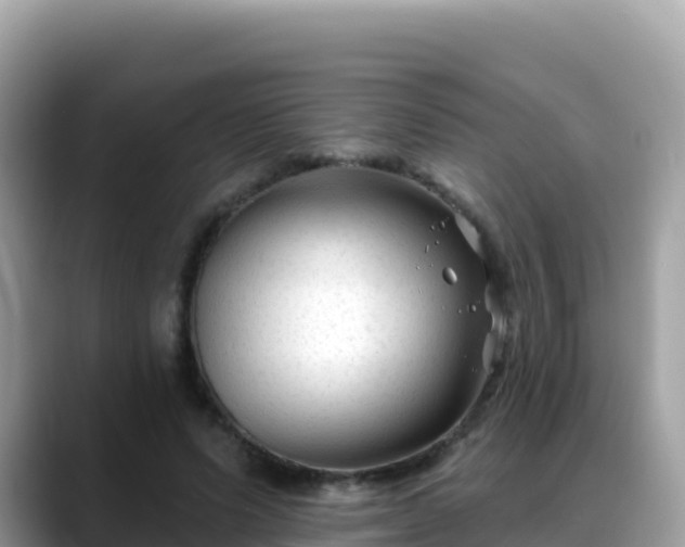 X0000088710591200706071601