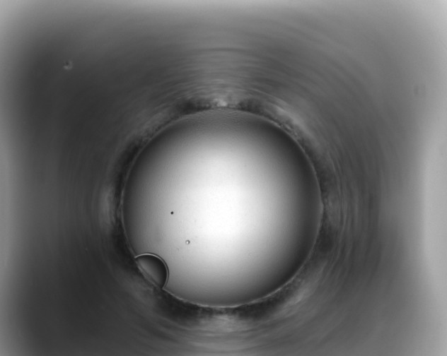 X0000088710594200706071601