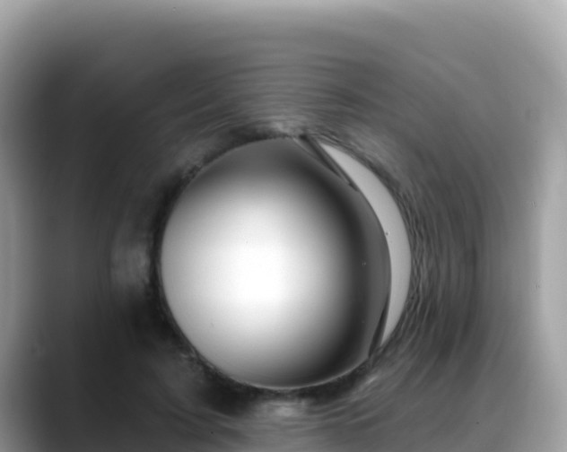 X0000088710595200706071601