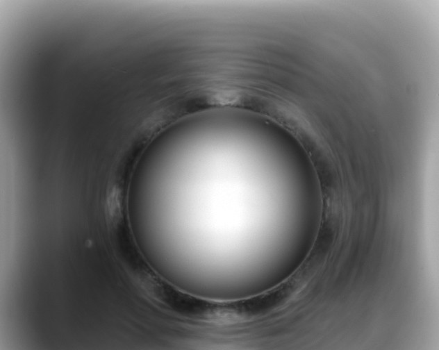 X0000088710598200706071601