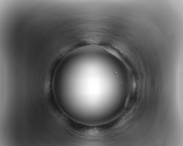 X0000088710600200706071601