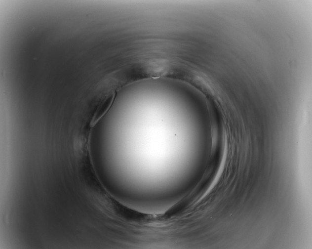 X0000088710601200706071601