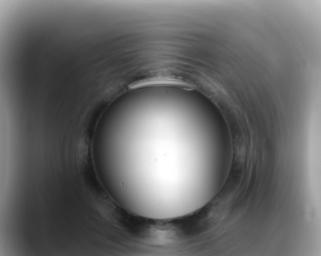 X0000088710603200706071601