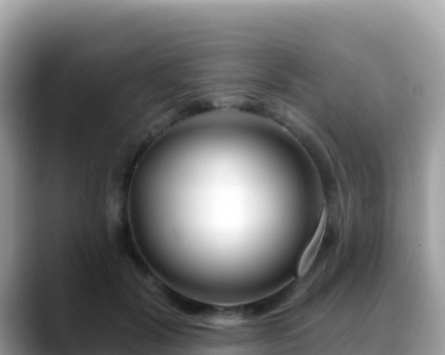 X0000088710604200706071601