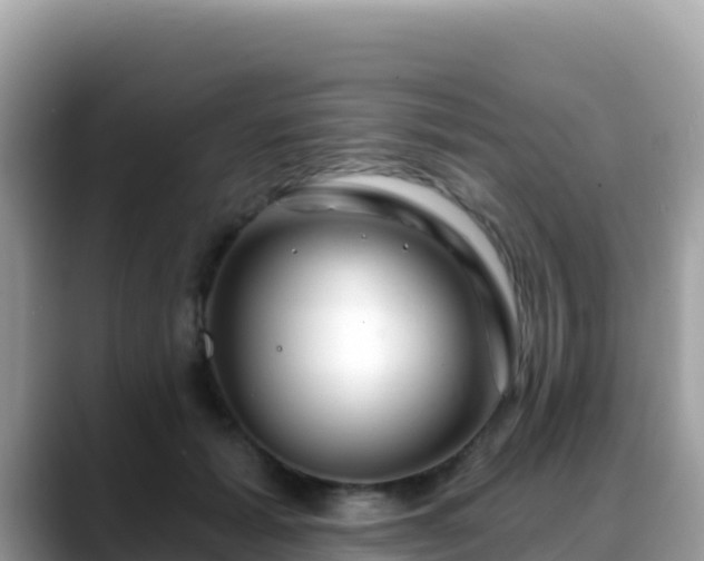 X0000088710605200706071601