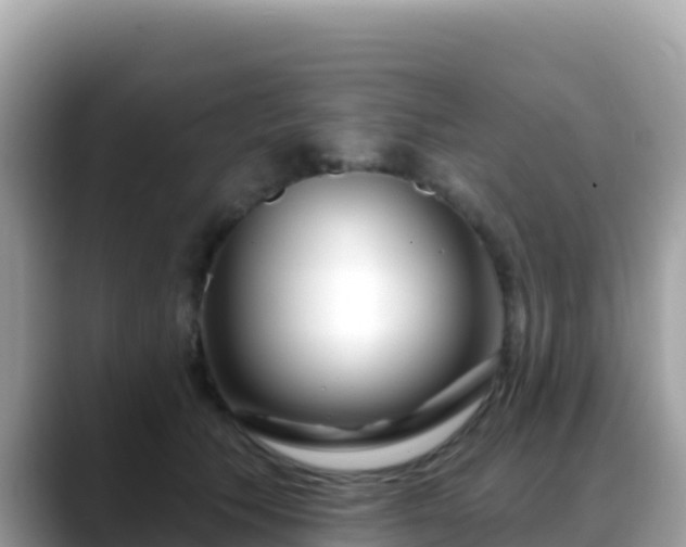 X0000088710609200706071601