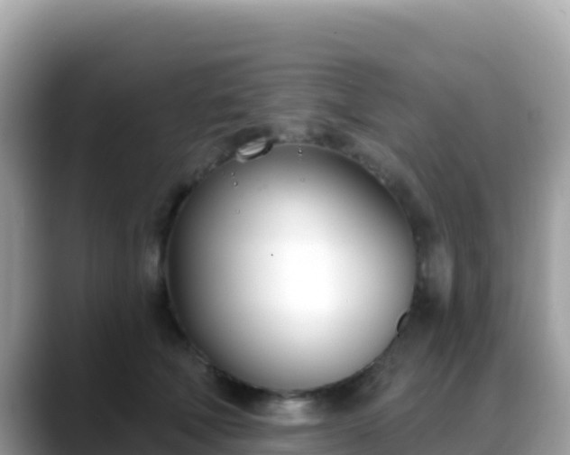 X0000088710610200706071601