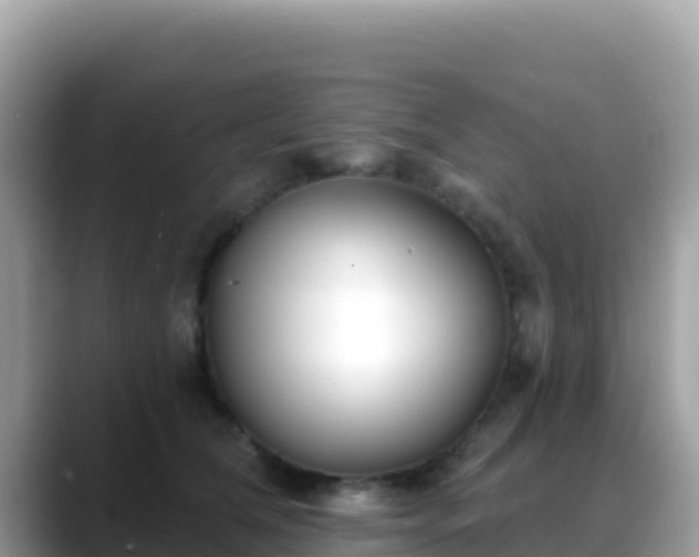 X0000088710612200706071601