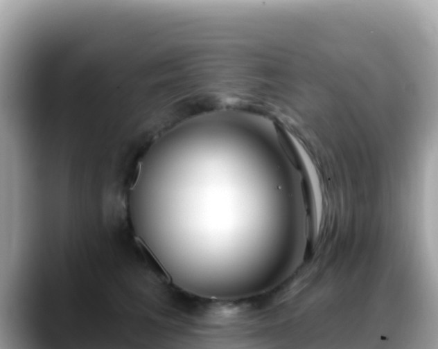 X0000088710613200706071601