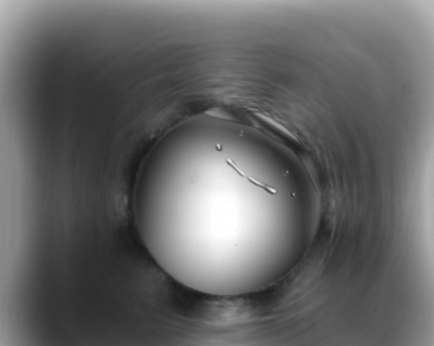 X0000088710615200706071601