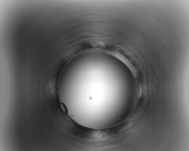 X0000088710616200706071601