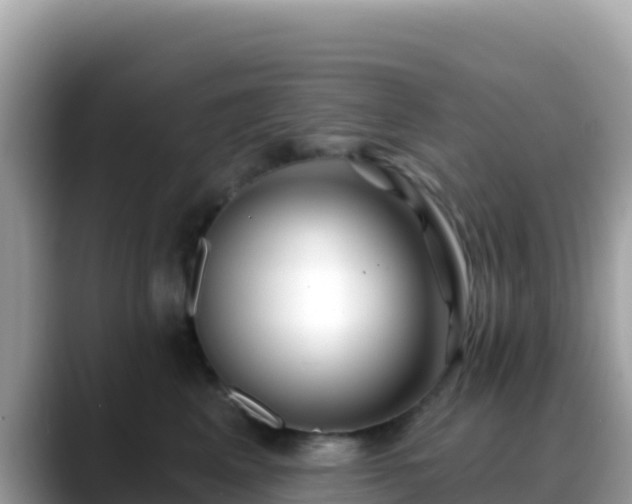 X0000088710617200706071601