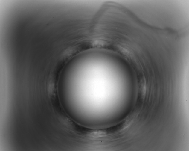 X0000088710619200706071601