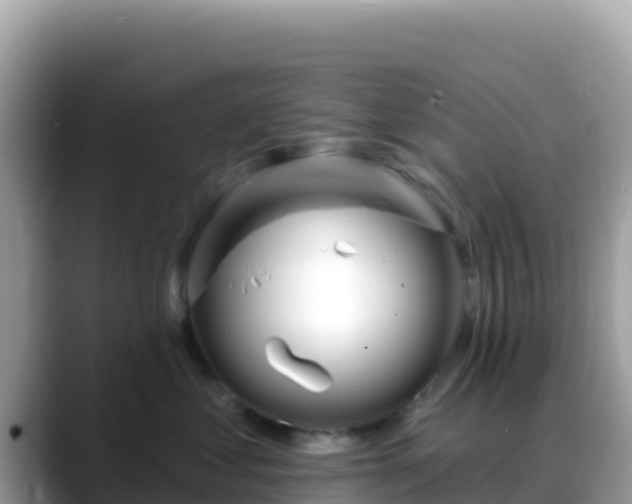 X0000088710621200706071601