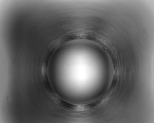 X0000088710623200706071601