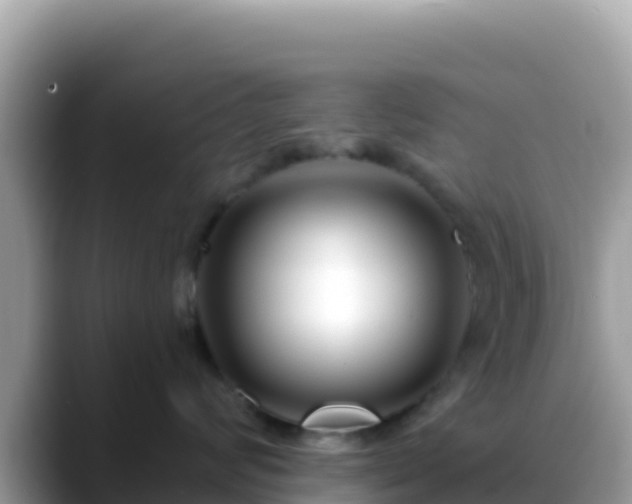 X0000088710624200706071601