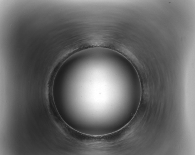 X0000088710626200706071600