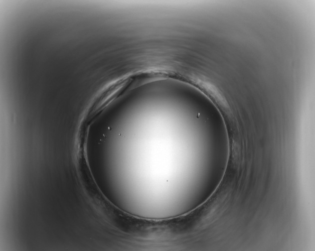 X0000088710628200706071600