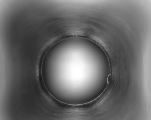 X0000088710629200706071600