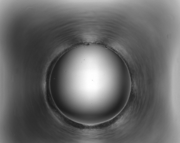 X0000088710630200706071600