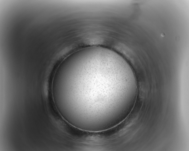 X0000088710631200706071600