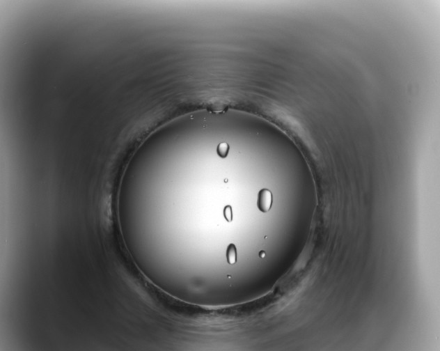 X0000088710633200706071600