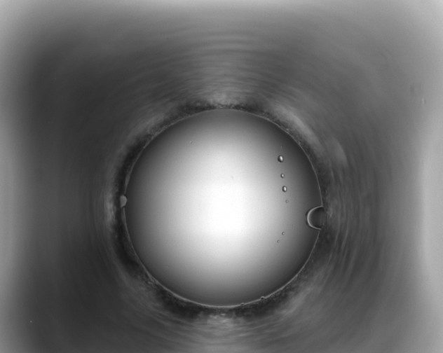 X0000088710635200706071600