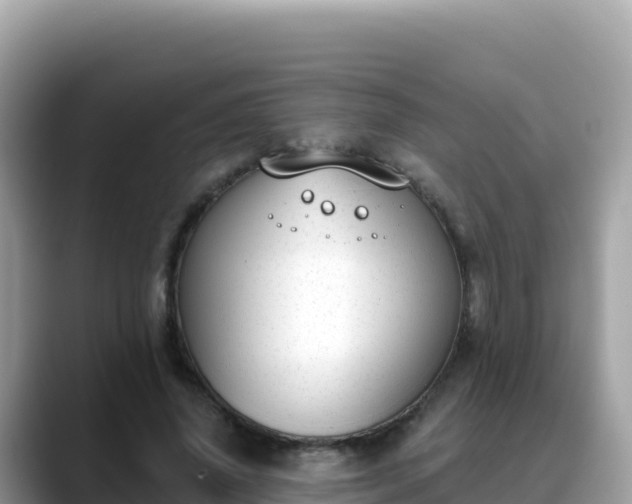 X0000088710636200706071600