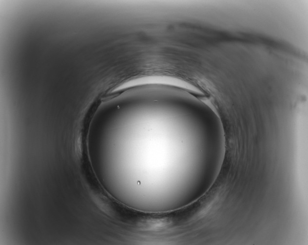 X0000088710638200706071600