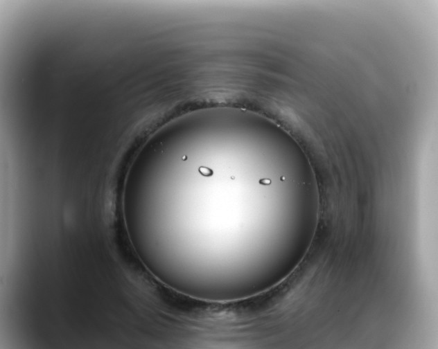 X0000088710640200706071600